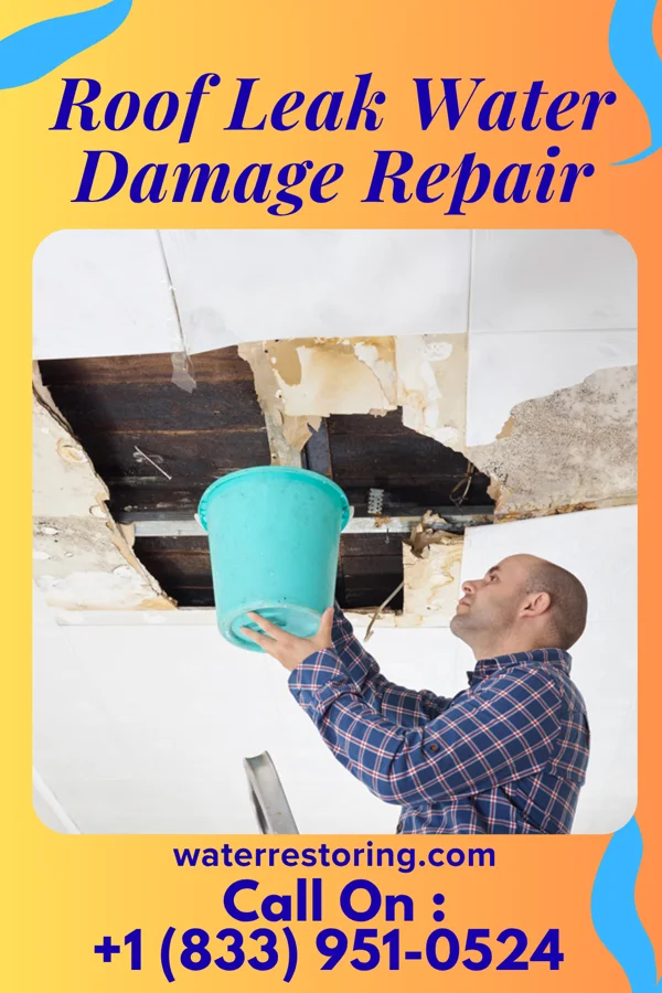 Roof Leak Water Damage Repair in Sun Valley, ID